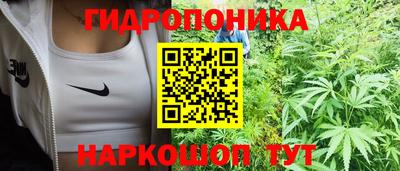 прущие грибы Кунгур